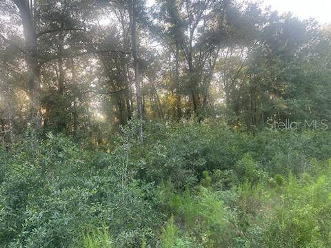 Lots 2 & 3 SW 156 AVE, Ocala, FL 34481