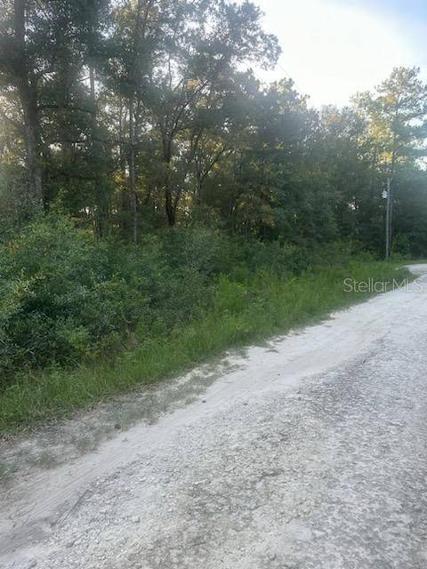 Lots 2 & 3 SW 156 AVE, Ocala, FL 34481