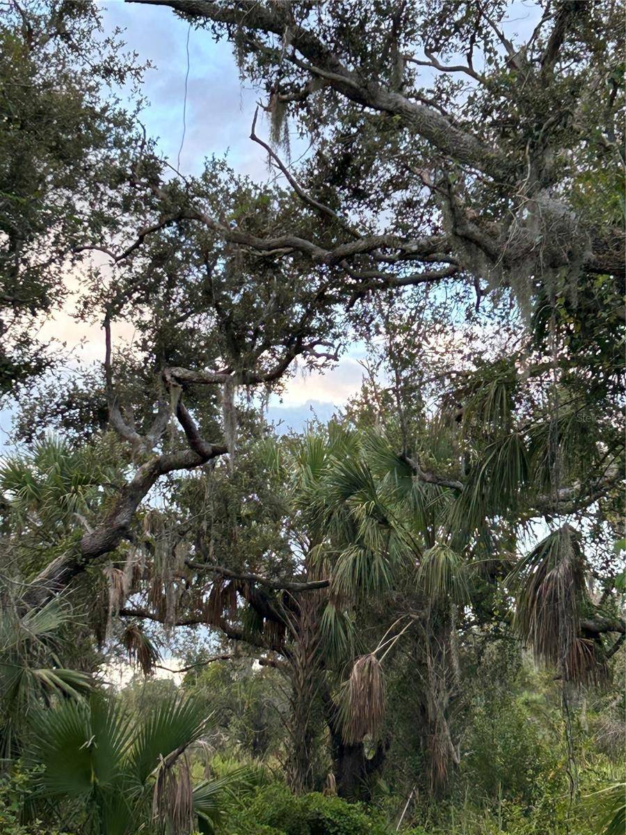 29431 NOTTINGHAM RD, Punta Gorda, FL 33982