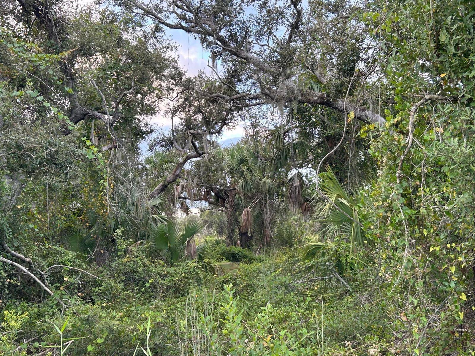 29431 NOTTINGHAM RD, Punta Gorda, FL 33982