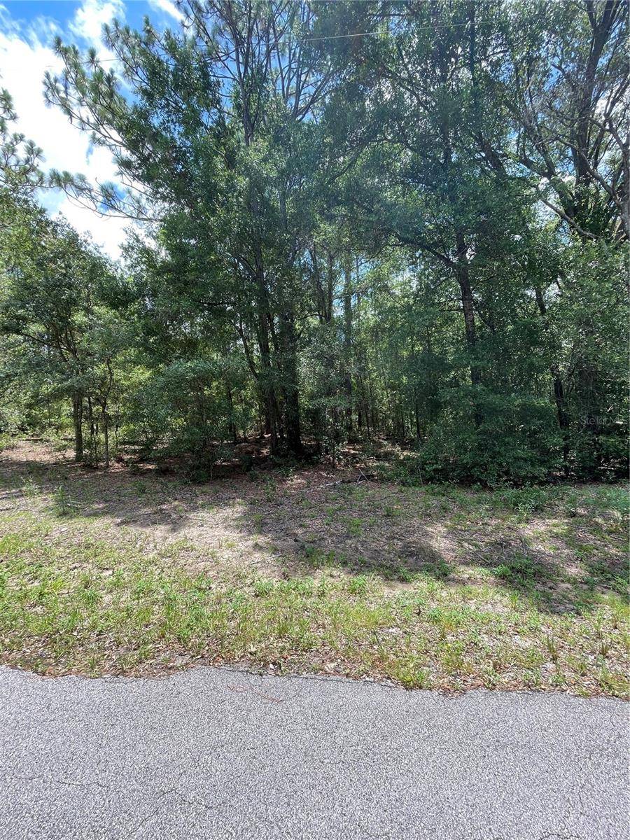 TBD SW 59TH LN, Dunnellon, FL 34431