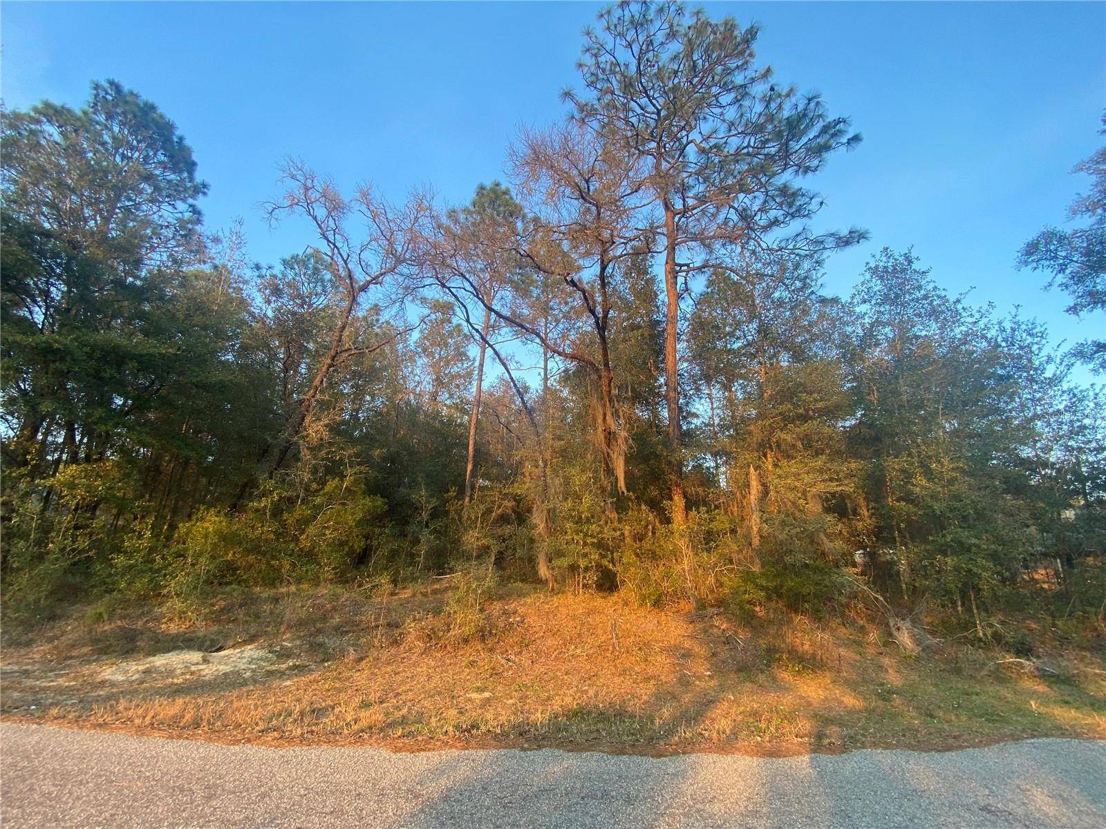 Lot 28 SW 206 CIR, Dunnellon, FL 34431