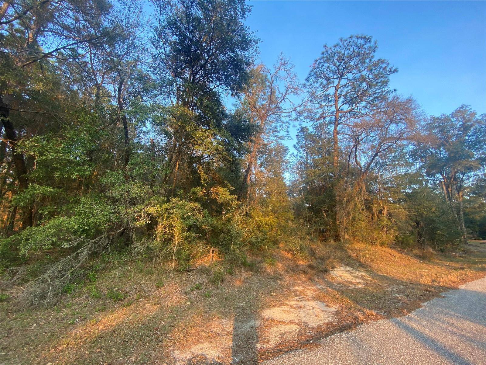 Lot 28 SW 206 CIR, Dunnellon, FL 34431