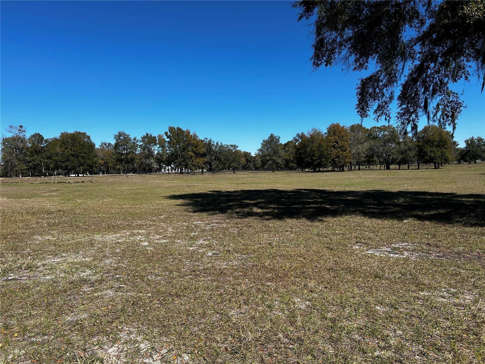 0000 NW 464B, Morriston, FL 32668