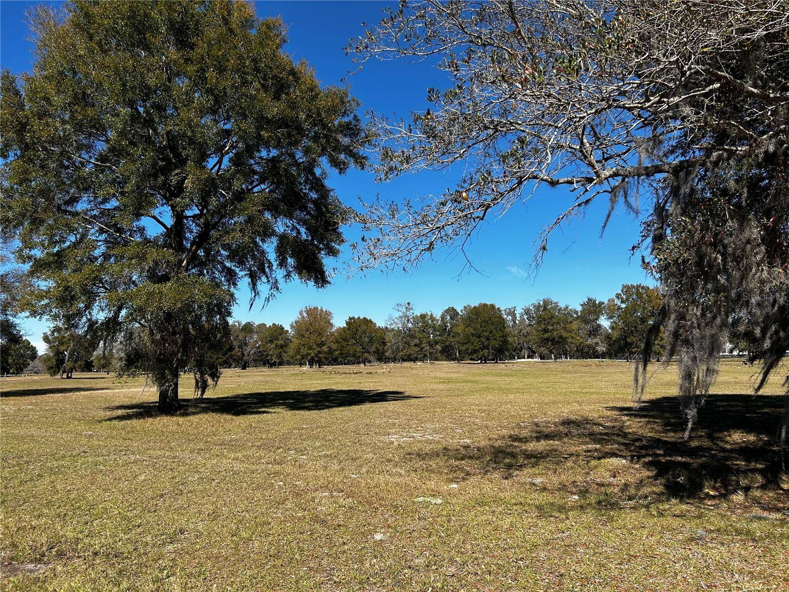 0000 NW 464B, Morriston, FL 32668