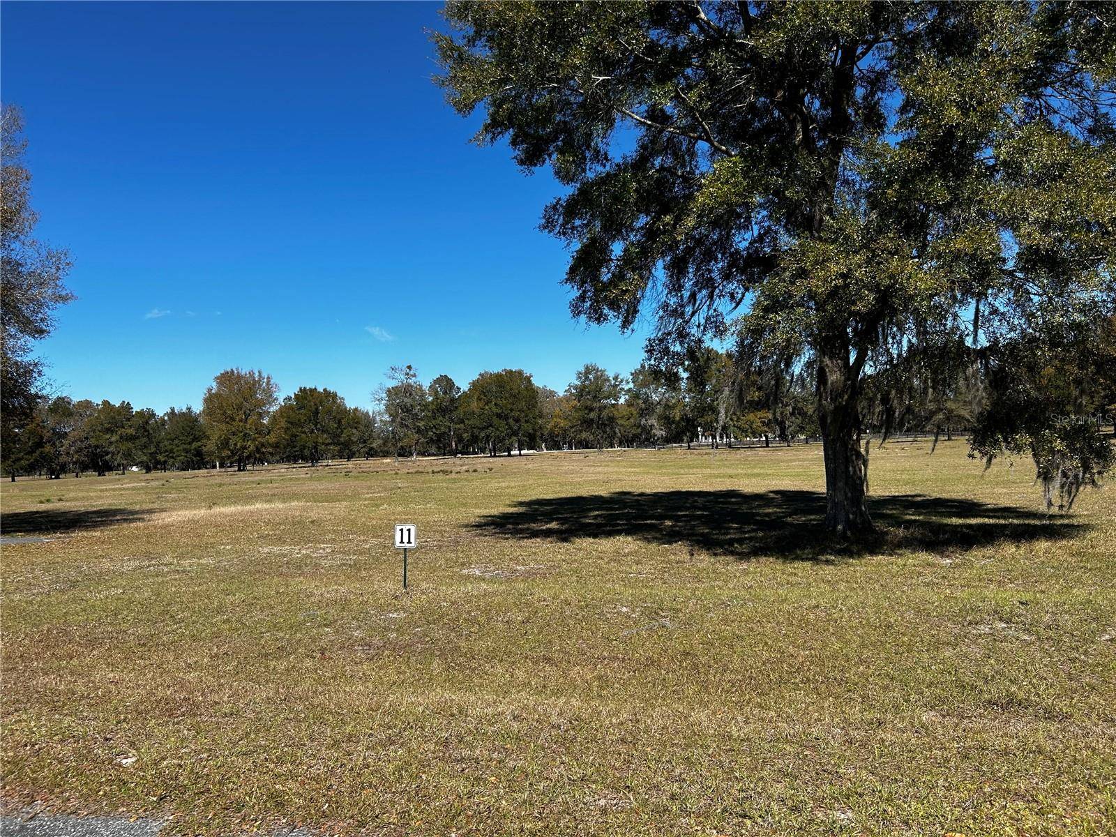 0000 NW 464B, Morriston, FL 32668