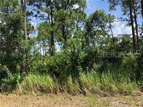 1127 LAKE GROVES RD NW, Lake Placid, FL 33852