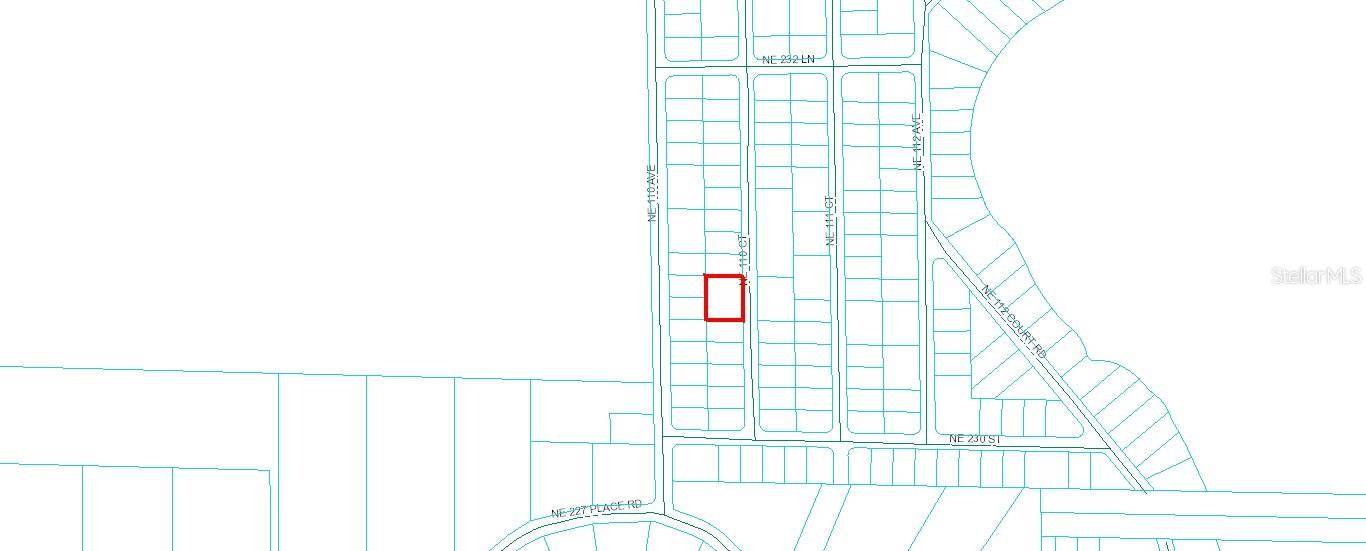 TBD NE 110 CT, Fort Mc Coy, FL 32134