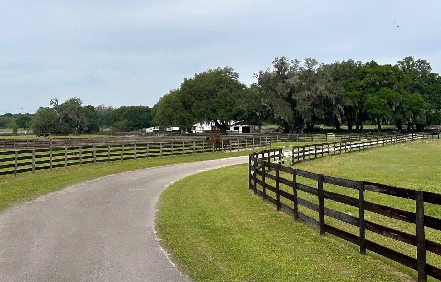 4101 NW 89TH PL, Ocala, FL 34482