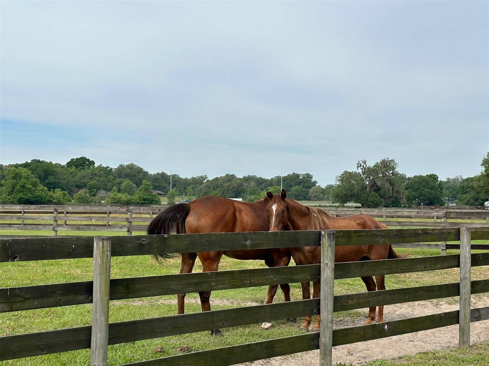 4101 NW 89TH PL, Ocala, FL 34482