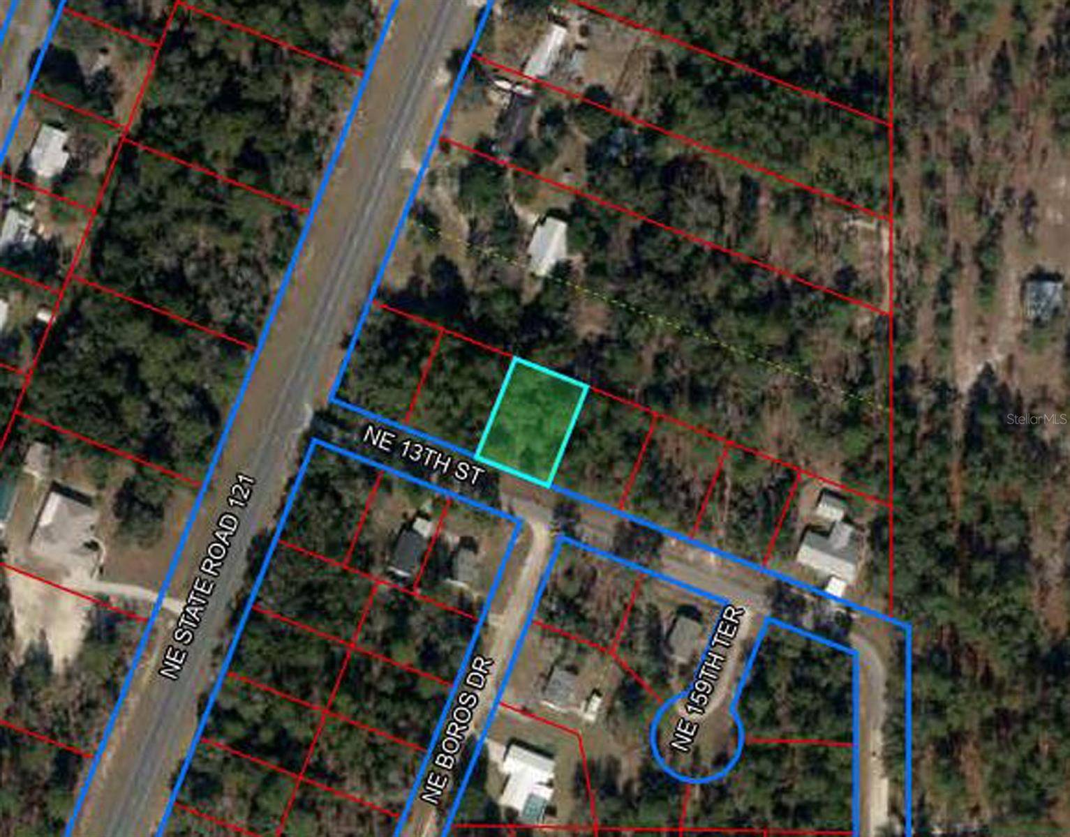 15955 NE 13TH ST, Williston, FL 32696