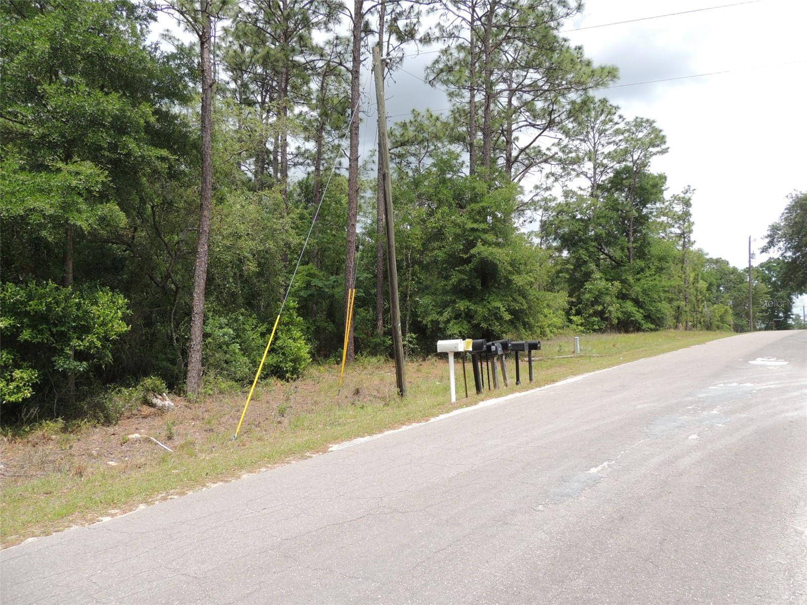 15955 NE 13TH ST, Williston, FL 32696