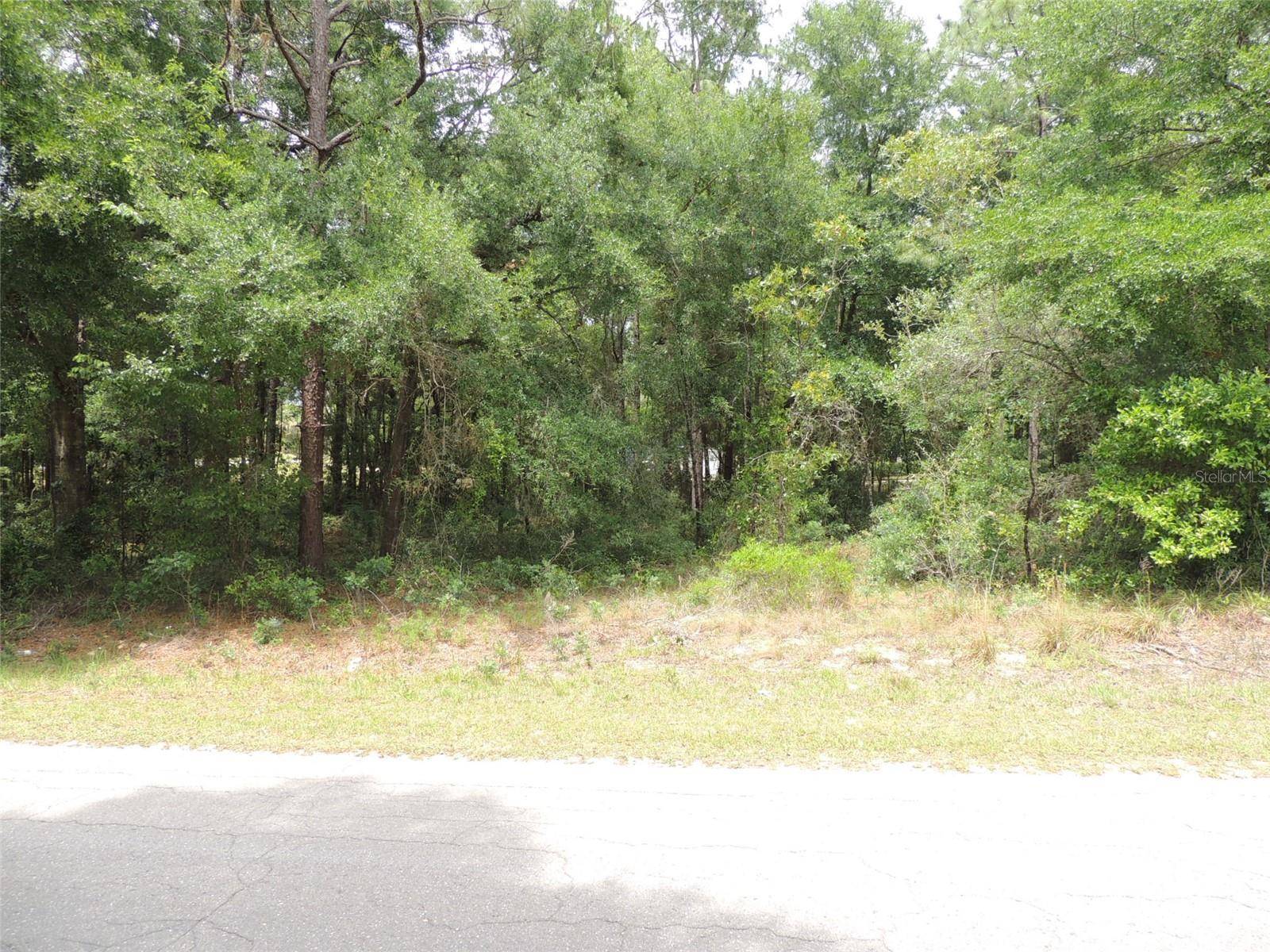 15955 NE 13TH ST, Williston, FL 32696