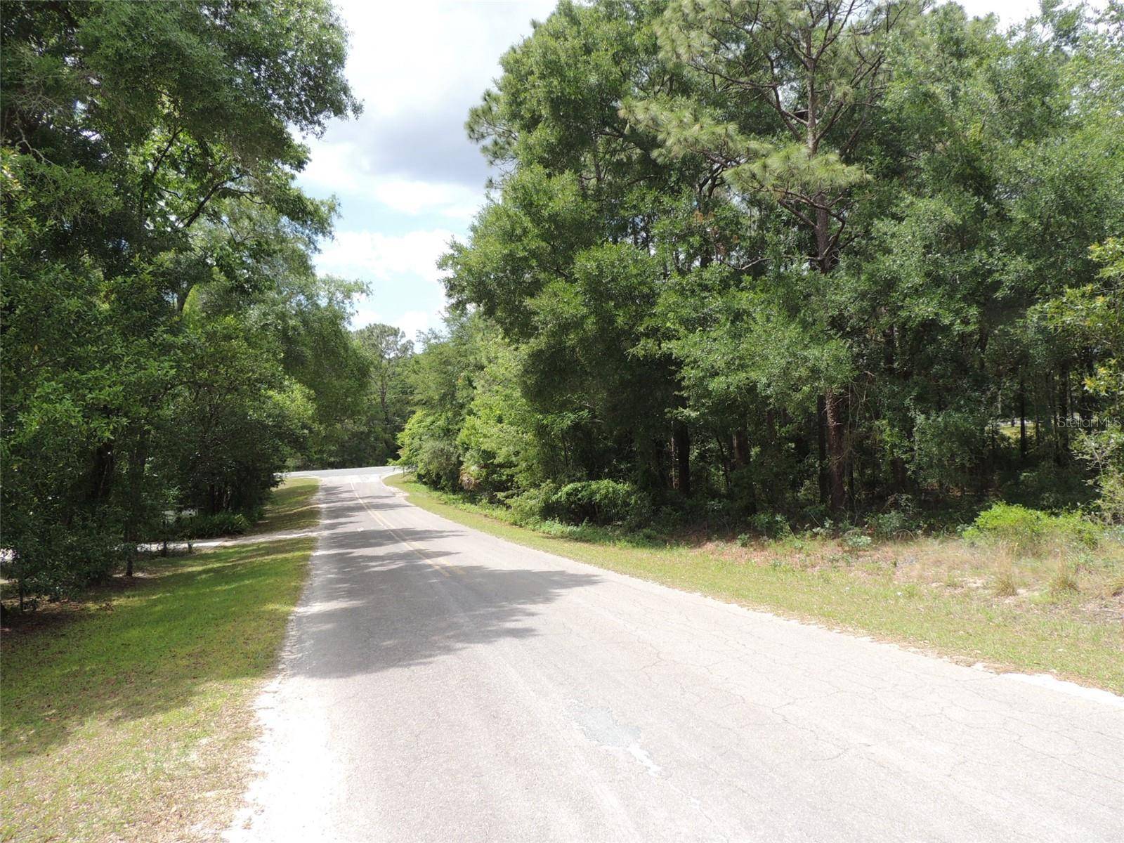 15955 NE 13TH ST, Williston, FL 32696