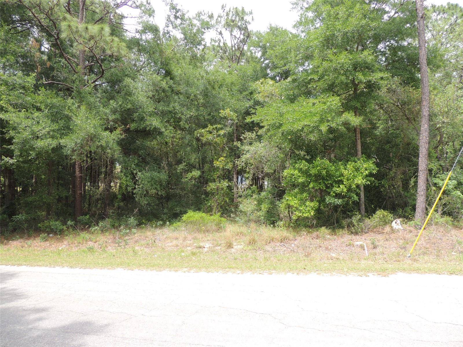 15955 NE 13TH ST, Williston, FL 32696