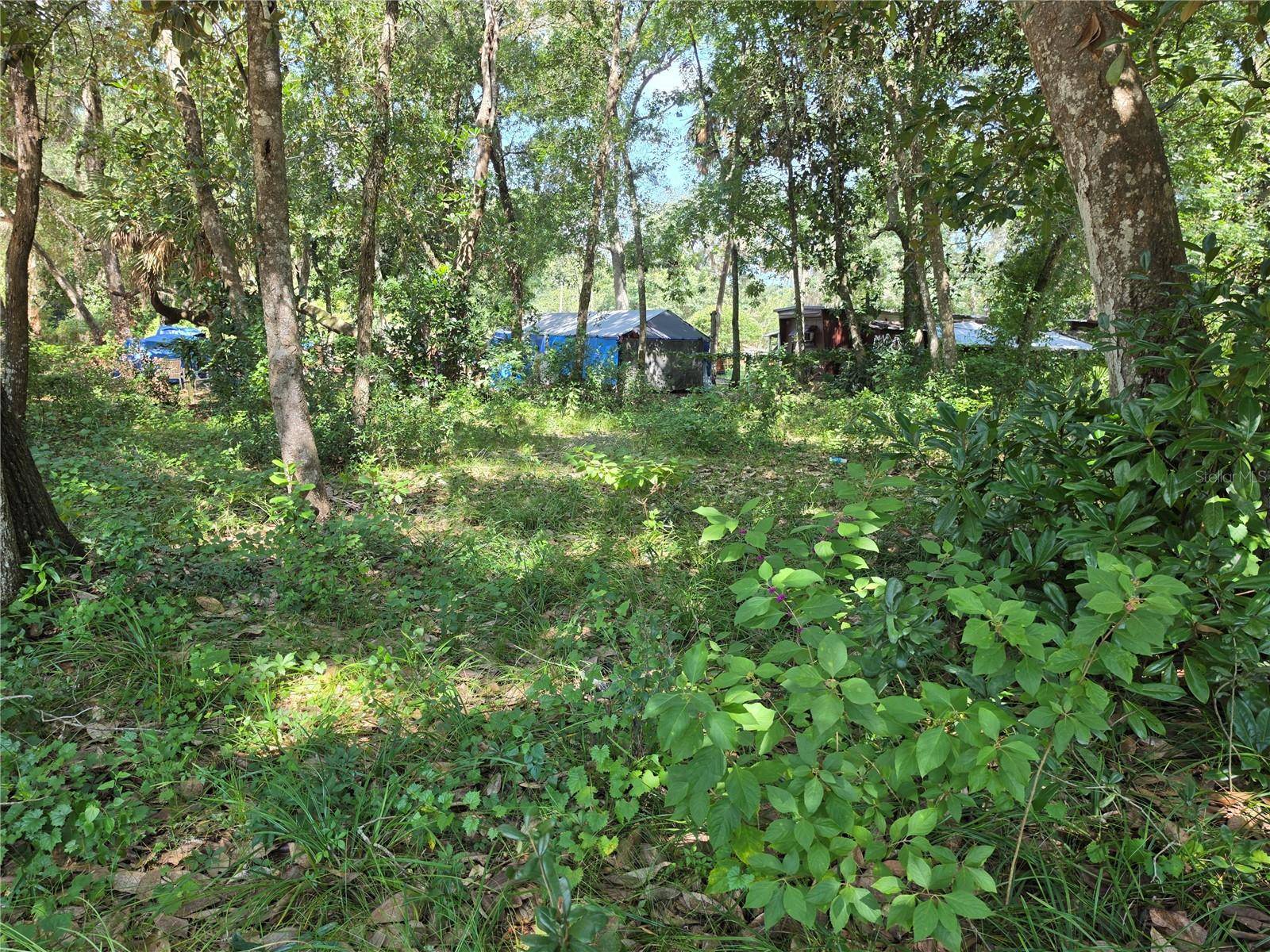 0 NE 167TH TER, Silver Springs, FL 34488