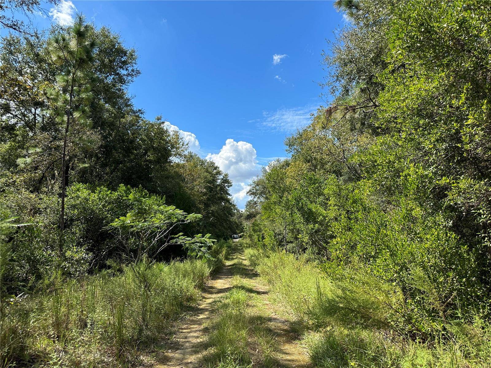 000 NE 156TH AVE, Williston, FL 32696
