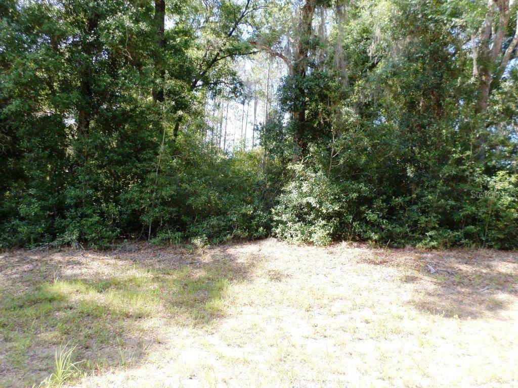 796 W LIGHTWOOD ST, Citrus Springs, FL 34434
