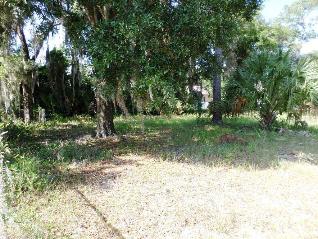 00 BLUE HERON CT, Dunnellon, FL 34432