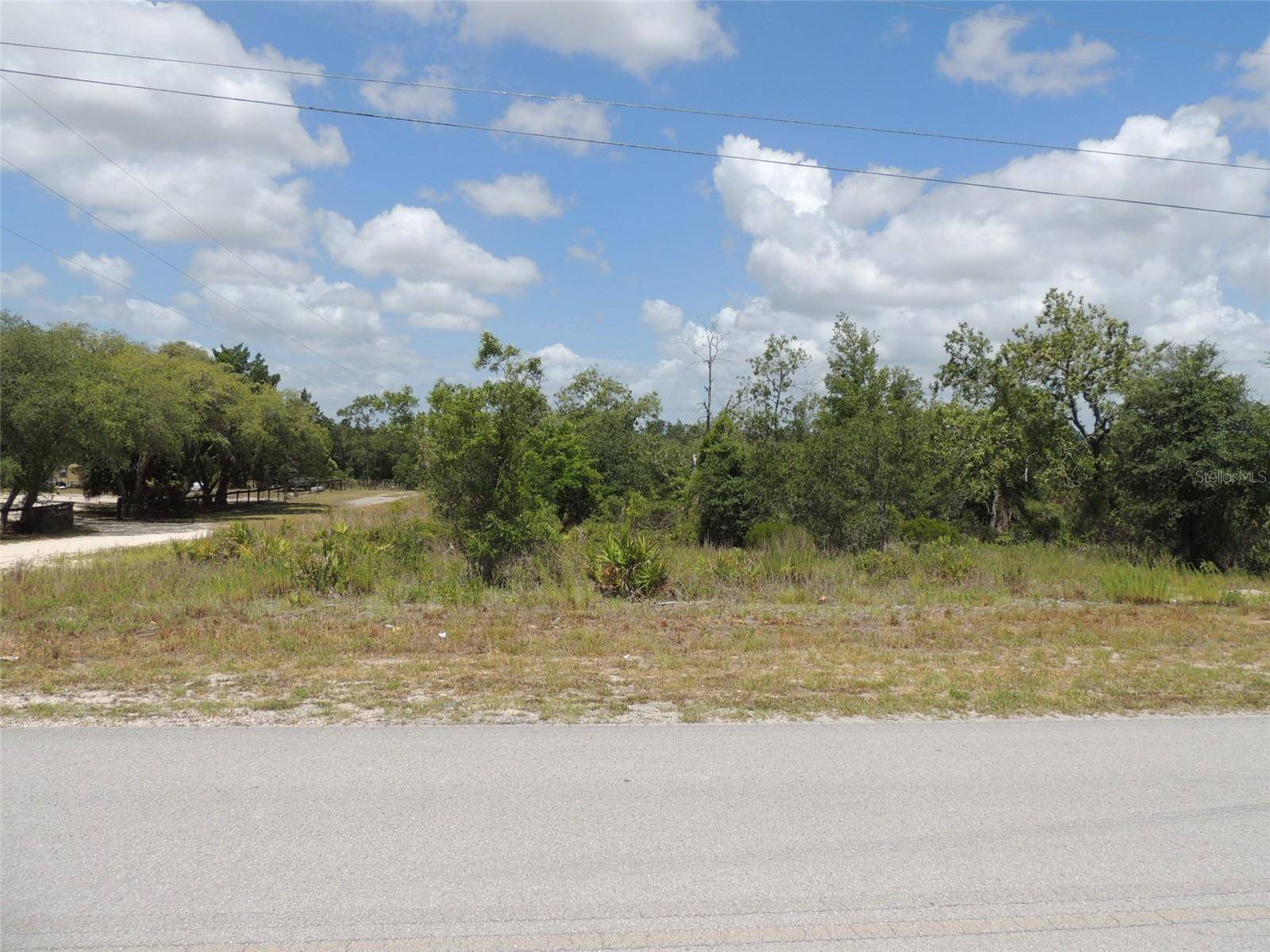 13591 NE 51ST LN, Williston, FL 32696