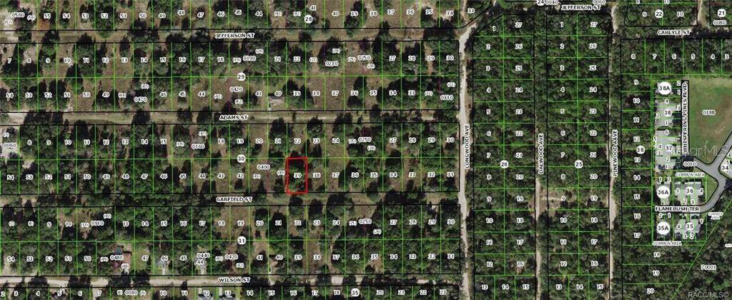 2304 GARFIELD ST, Inverness, FL 34453