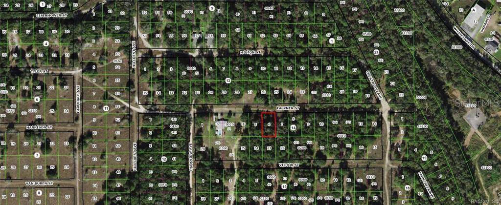 2003 FALKNER ST, Inverness, FL 34453
