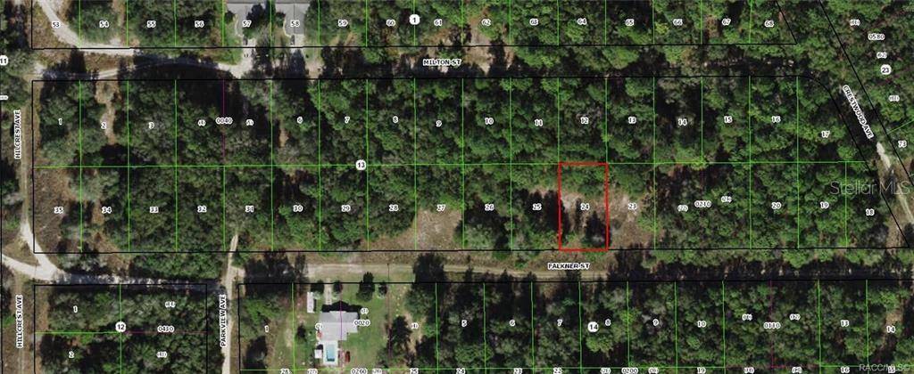 2110 FALKNER ST, Inverness, FL 34453