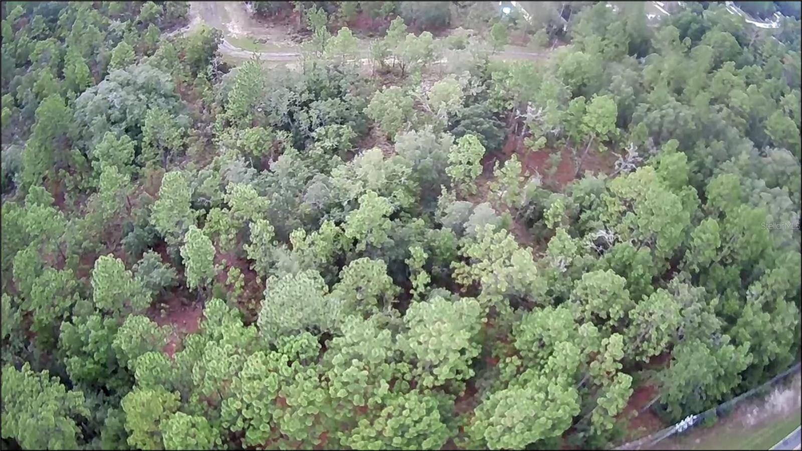 10522 N ELKCAM BLVD, Citrus Springs, FL 34433