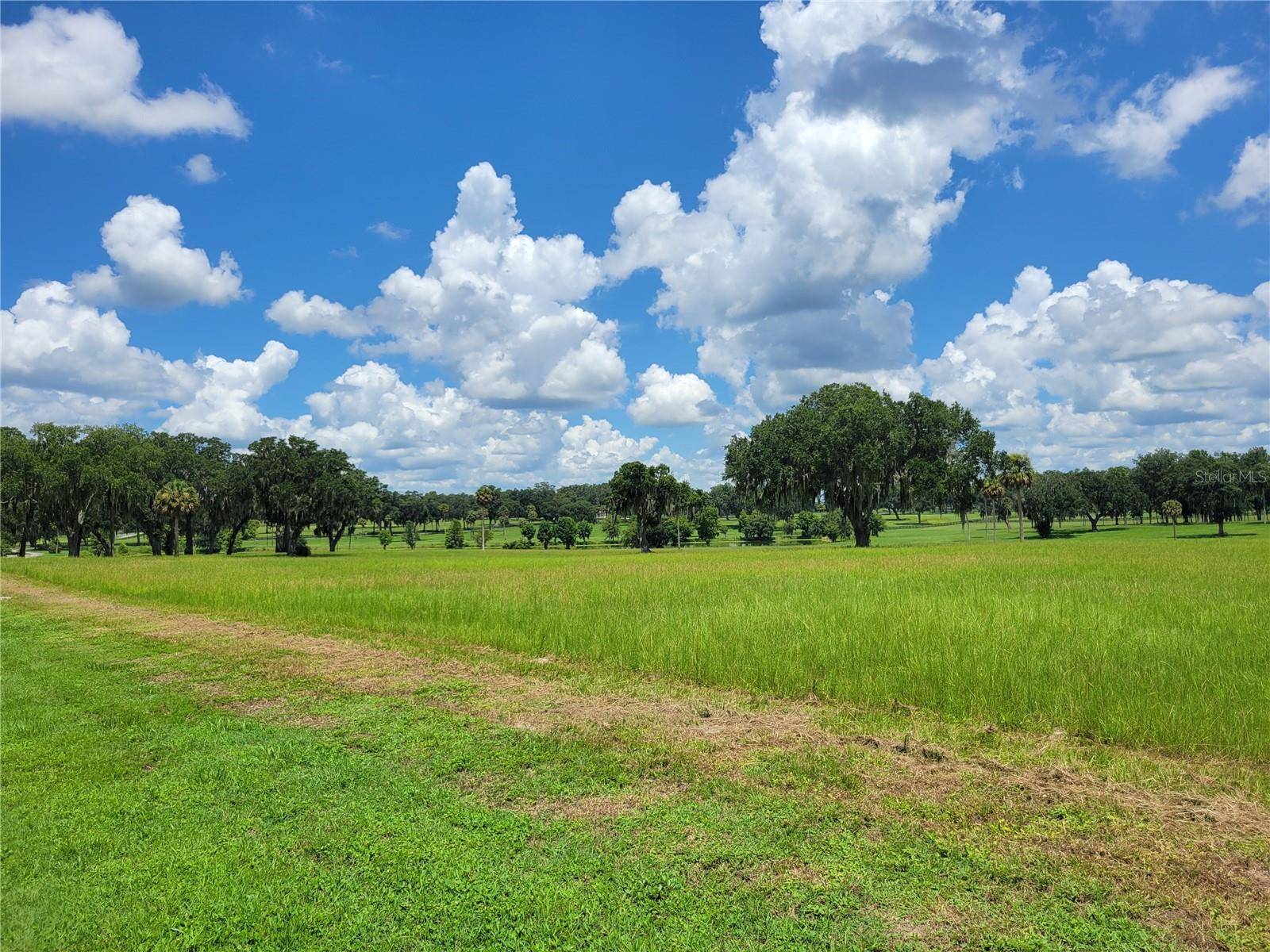 0 SE 61ST TERRACE RD #16, Summerfield, FL 34491