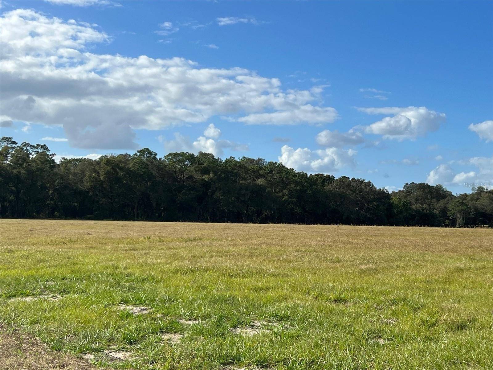 TBD SE 170 AVE RD #Tract A, Ocklawaha, FL 32179
