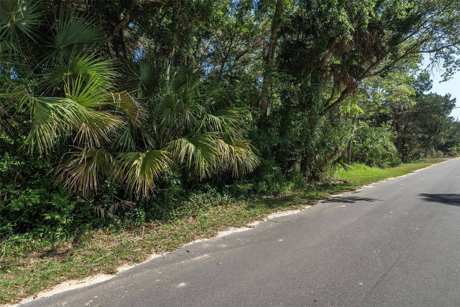 11681 W NORTH PL, Homosassa, FL 34448