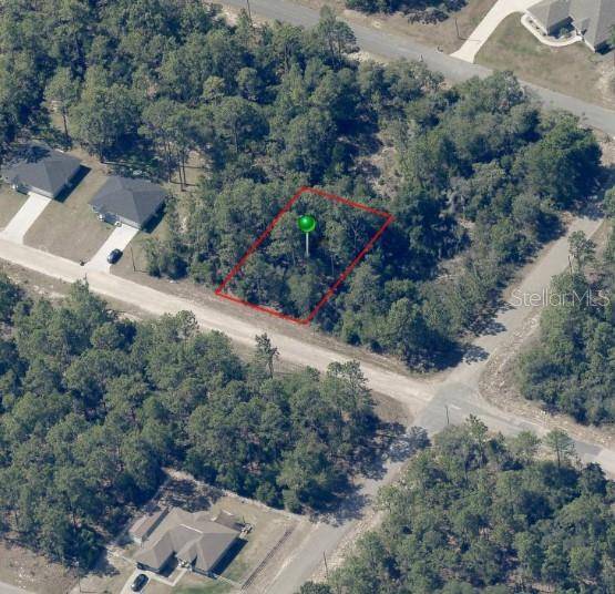 8884 N VIENNA DR, Dunnellon, FL 34433