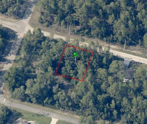 8884 N VIENNA DR, Dunnellon, FL 34433