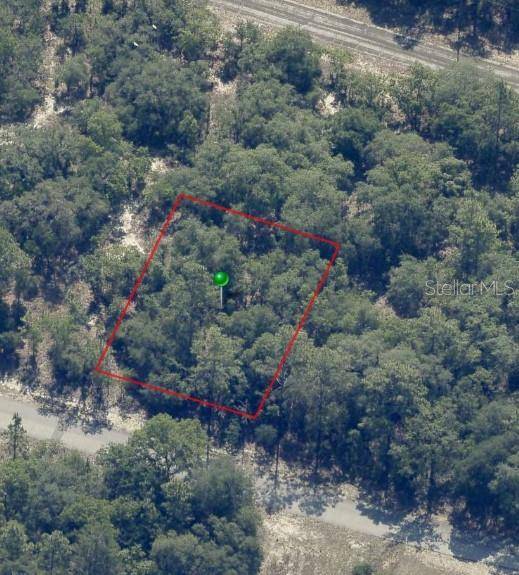 9541 N WALLACE WAY, Citrus Springs, FL 34433