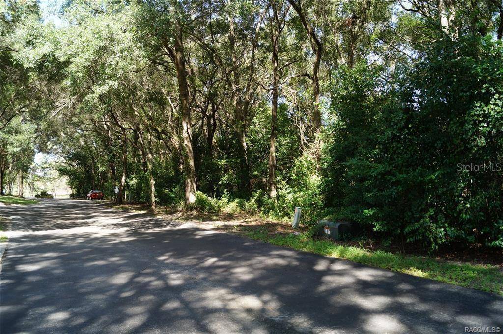 3505 N WOODGATE DR, Beverly Hills, FL 34465