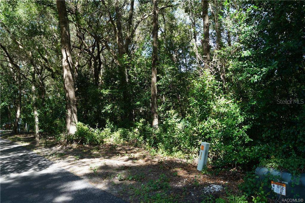 3505 N WOODGATE DR, Beverly Hills, FL 34465