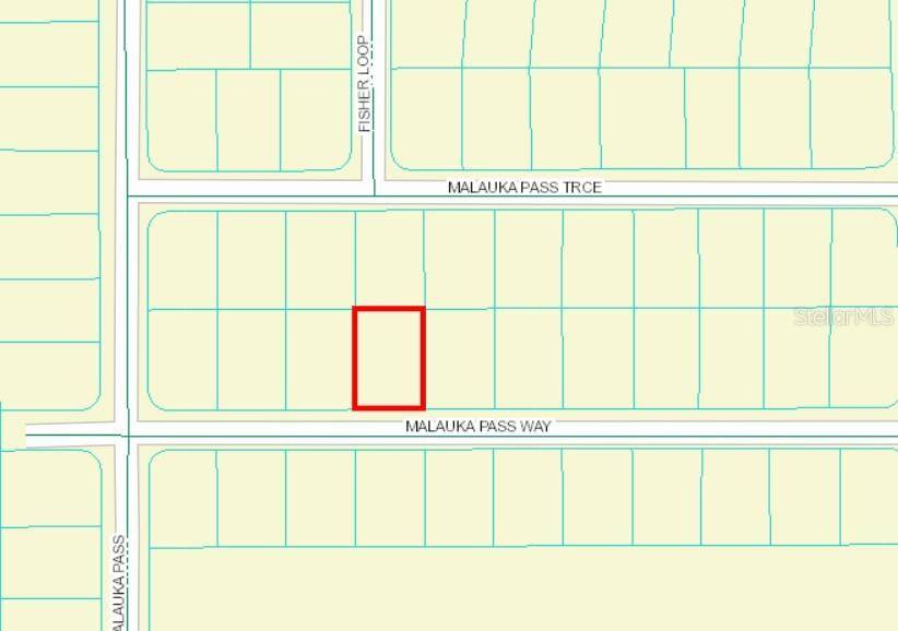 0 MALAUKA PASS WAY, Ocklawaha, FL 32179