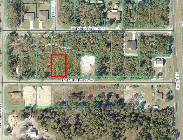 0 MALAUKA PASS WAY, Ocklawaha, FL 32179