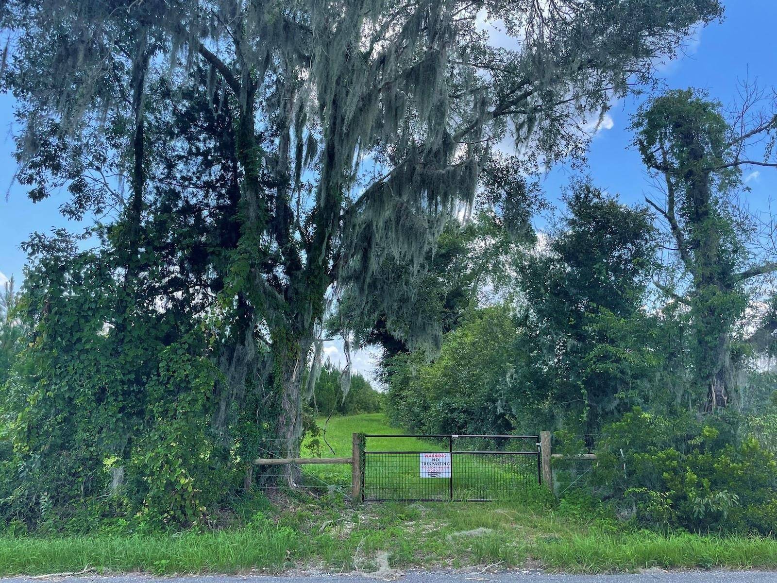 Parcel C NW 160TH AVE, Morriston, FL 32668