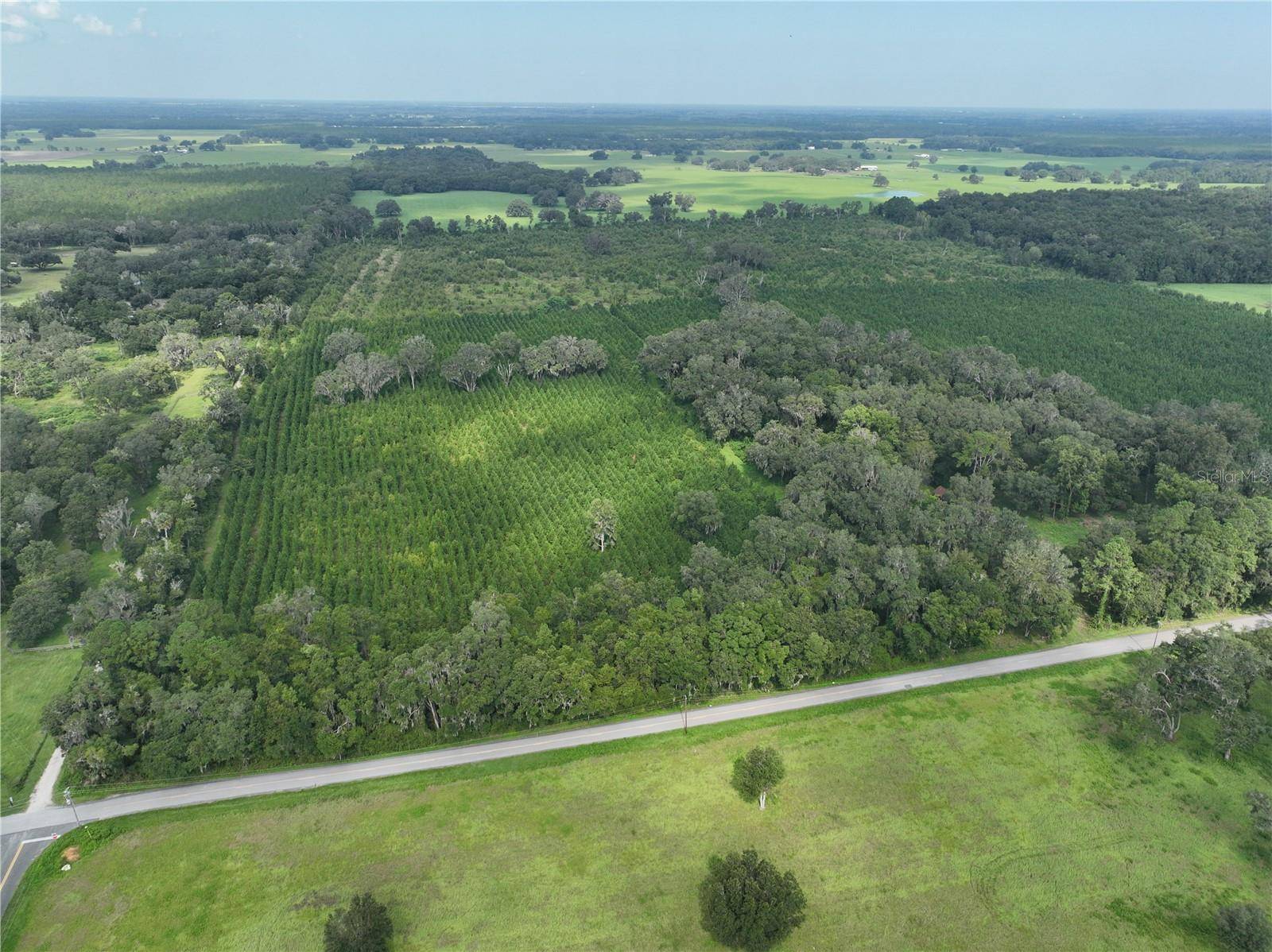 Parcel C NW 160TH AVE, Morriston, FL 32668