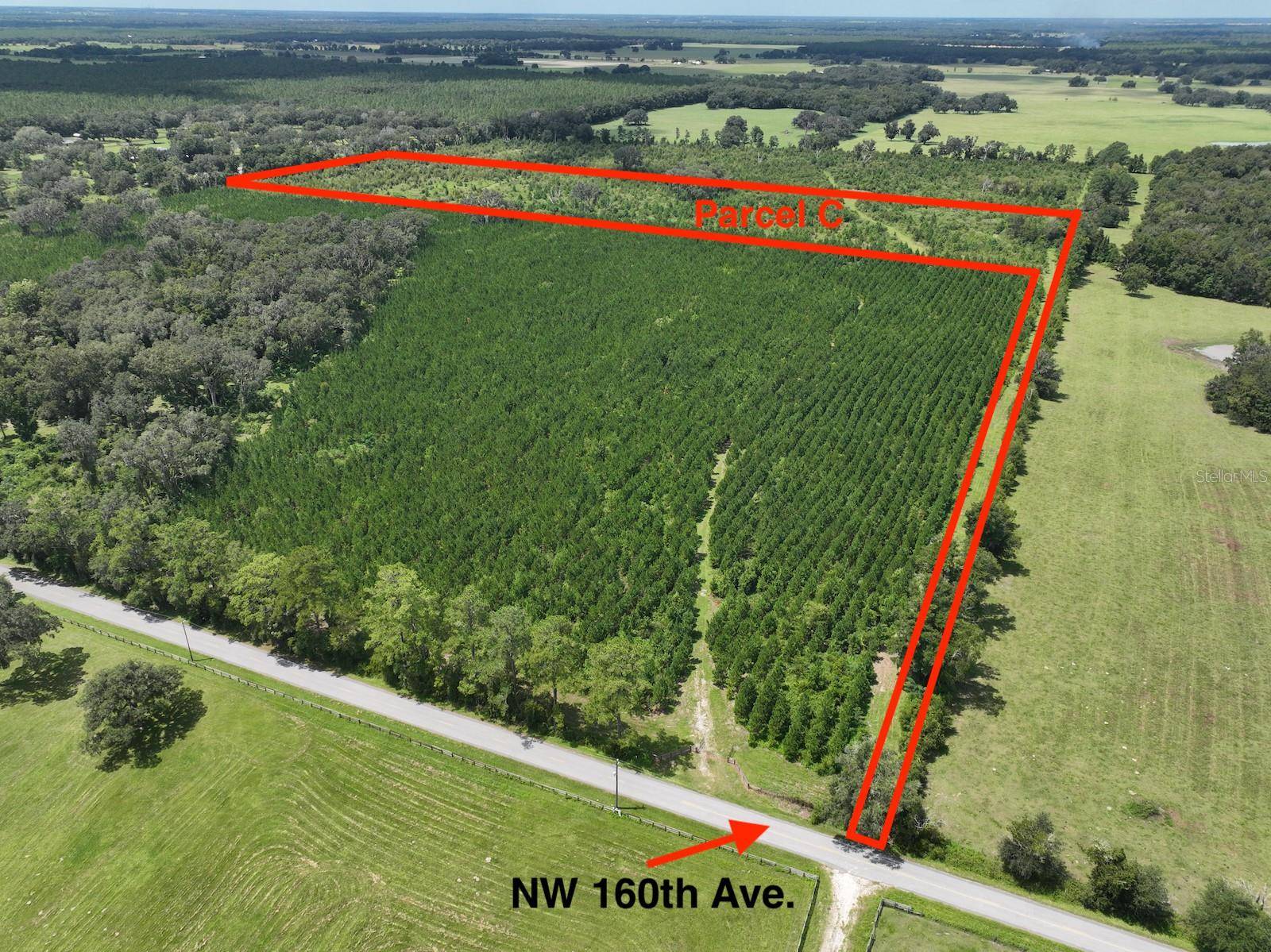 Parcel C NW 160TH AVE, Morriston, FL 32668