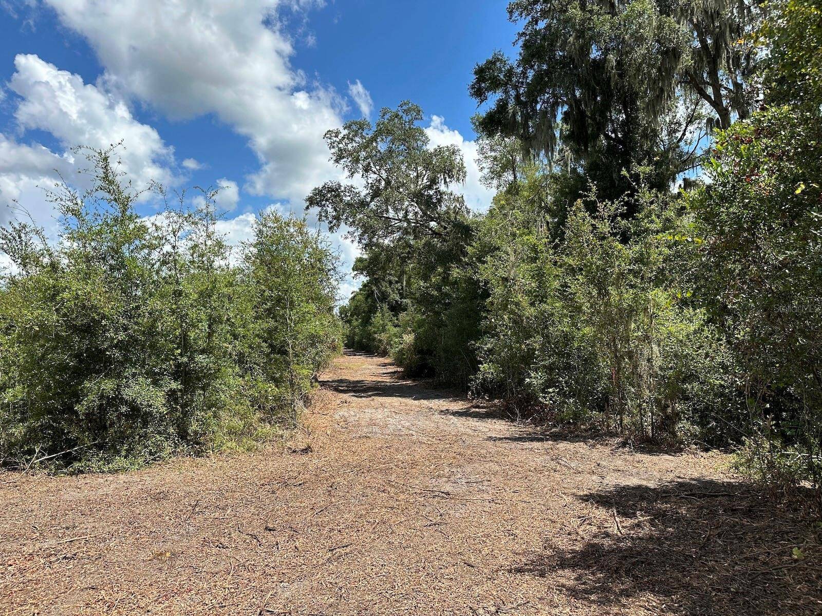 Parcel D NW 160TH AVE, Morriston, FL 32668