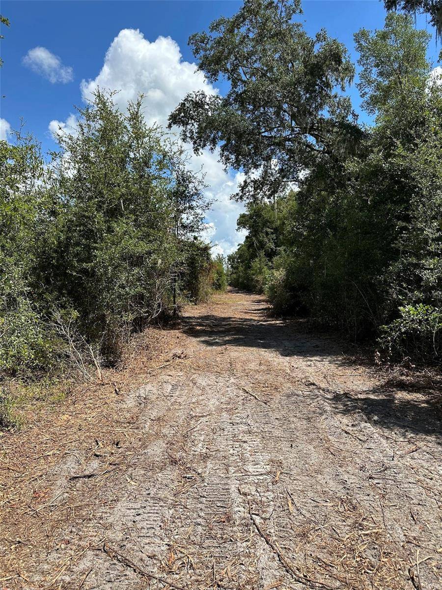 Parcel D NW 160TH AVE, Morriston, FL 32668