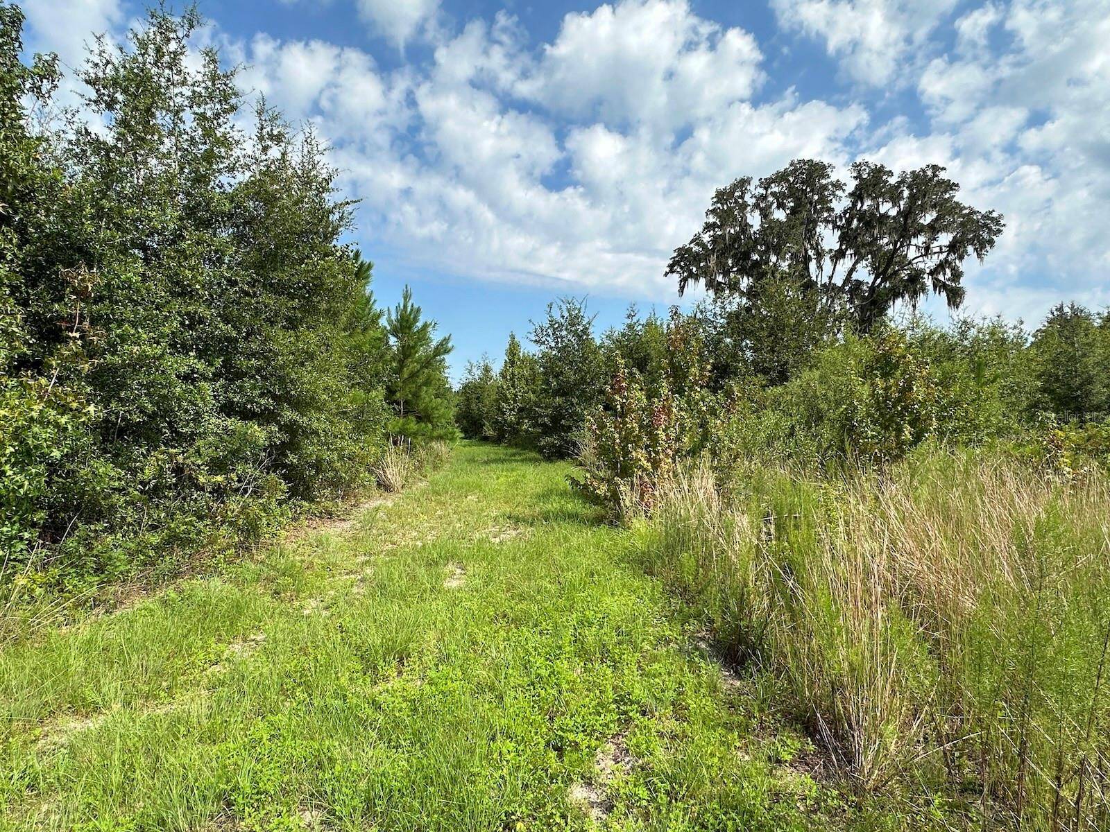 Address not disclosed, Morriston, FL 32668