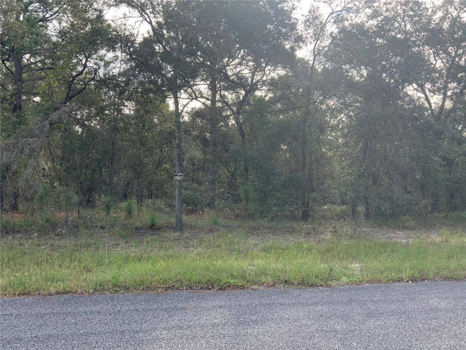 SE 139TH TER LOT 19, Morriston, FL 32668
