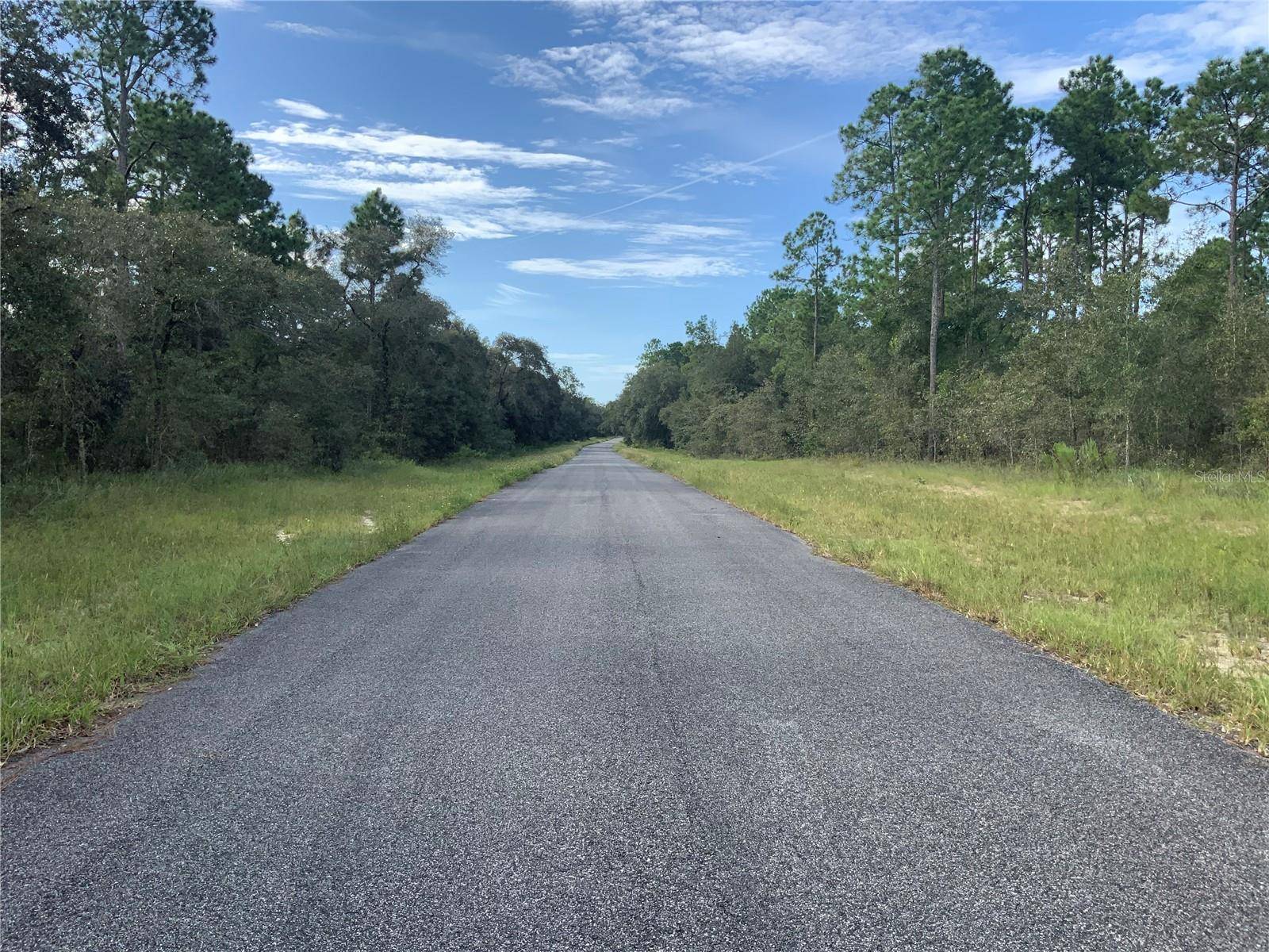 SE 139TH TER LOT 19, Morriston, FL 32668