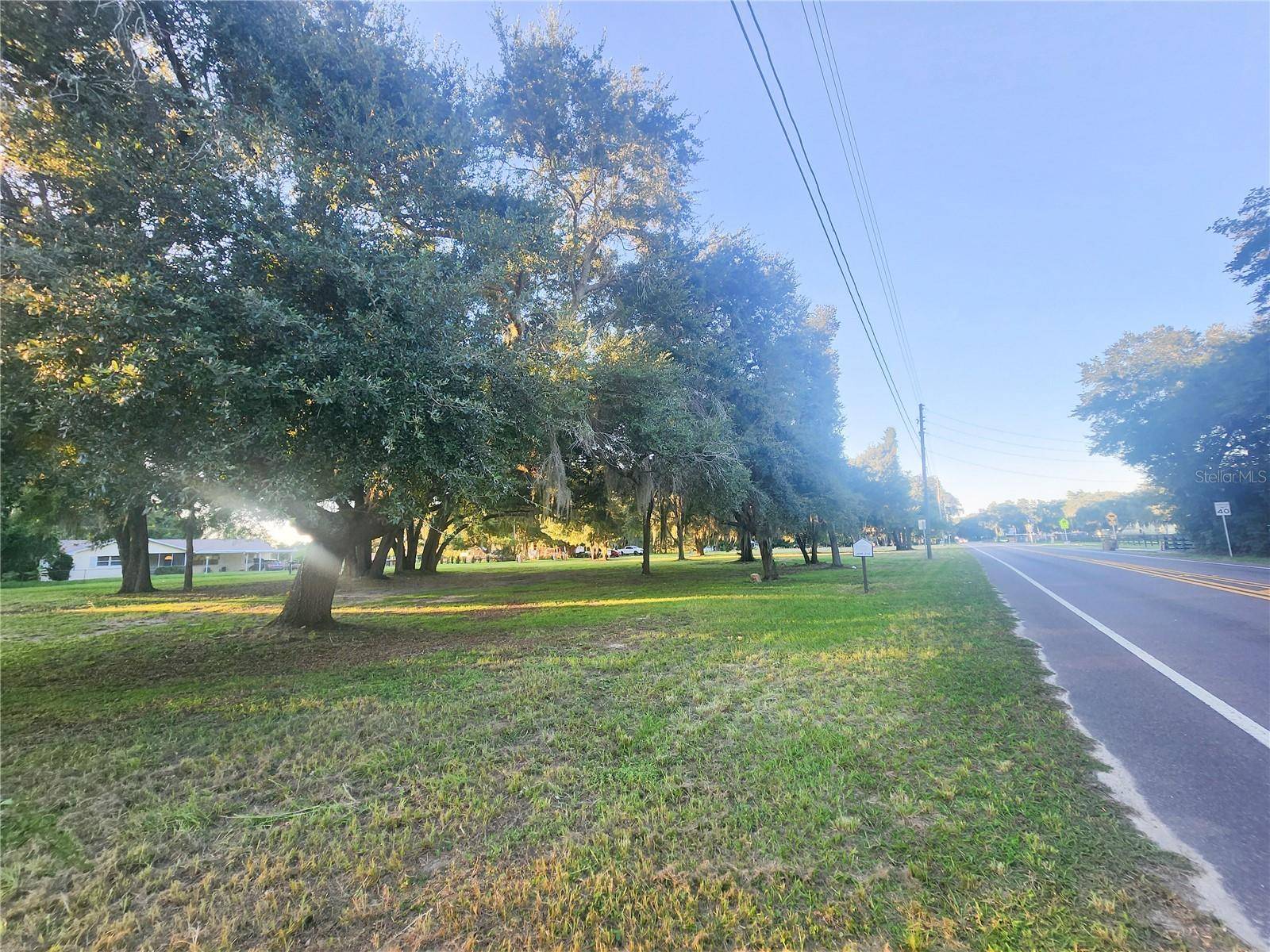 00 LAKE DAISY DR, Altoona, FL 32702