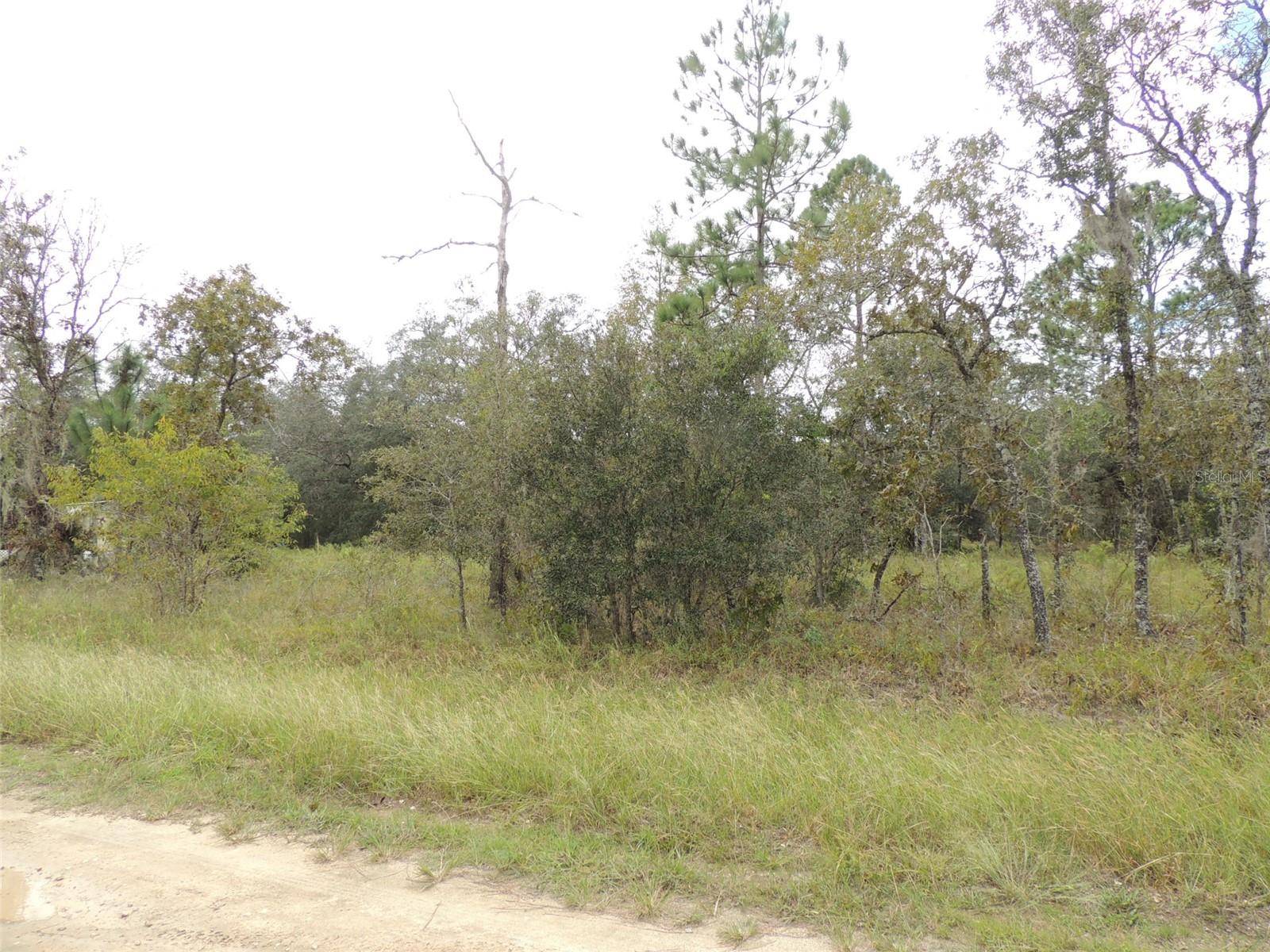 690 NE 135TH CT, Williston, FL 32696