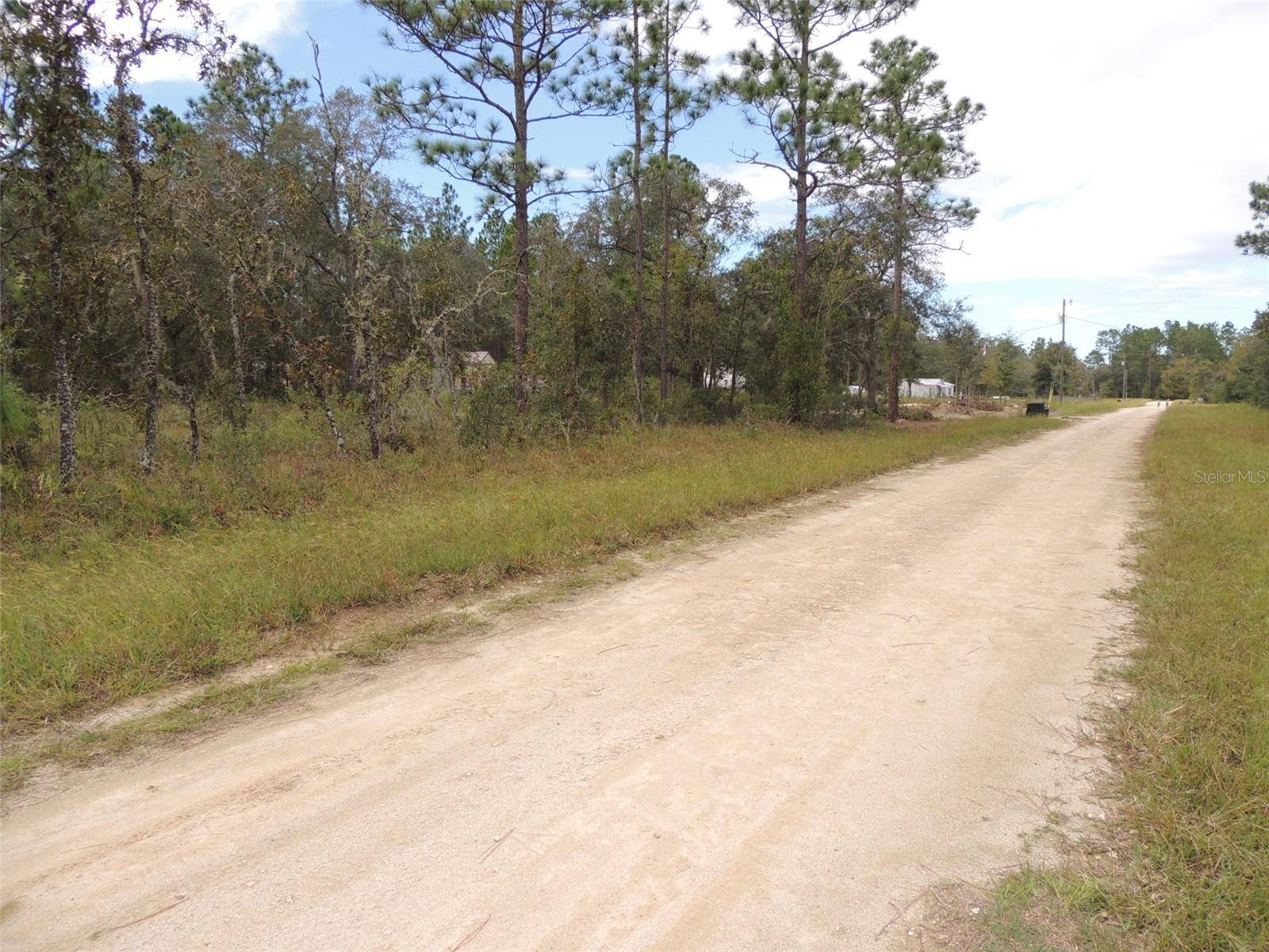 690 NE 135TH CT, Williston, FL 32696