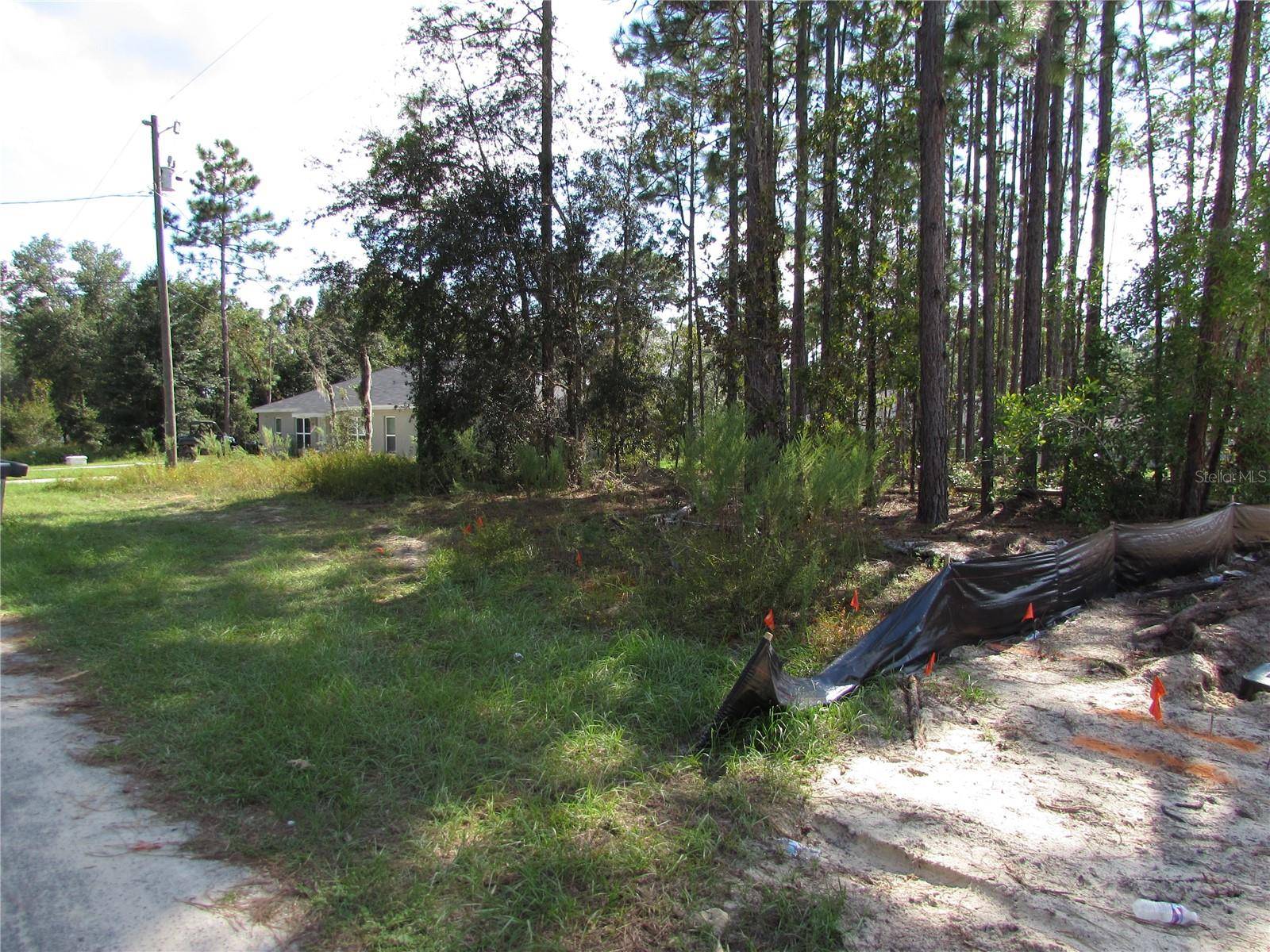 9250 N TRAVIS DR, Citrus Springs, FL 34434
